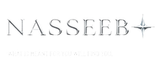 Nasseeb Store